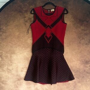 Torn by Ronny Kobo Red and Black Textured Skater Dress